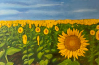 Sunflower in a Field by Beth D. Medley (oil)